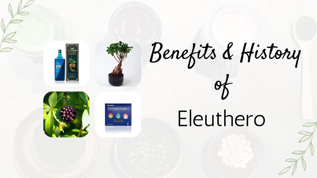 Chlorella-Sun Chlorella UK | Wholefood Supplements-Sun Chlorella-