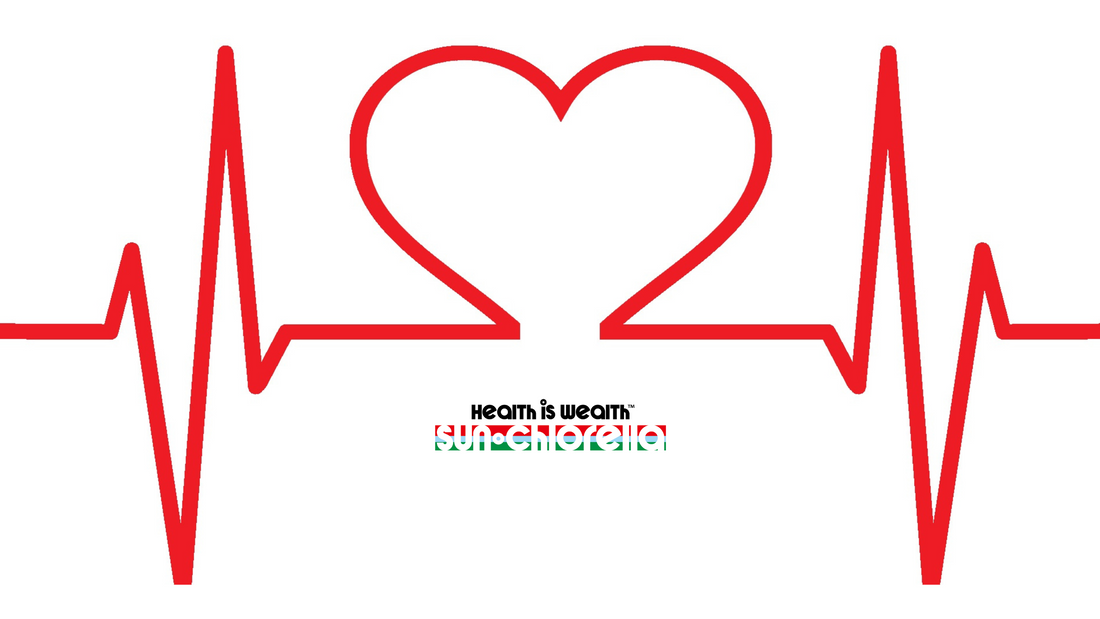 Chlorella-Sun Chlorella UK | Wholefood Supplements-Sun Chlorella-