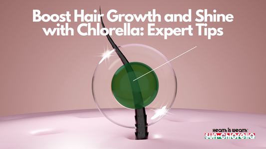 Newsletter-Sun Chlorella UK | Wholefood Supplements-Sun Chlorella-biotin-hair